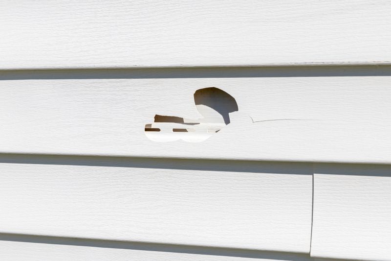 Clapboard Siding Damage